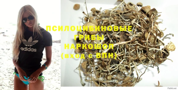 амф Абаза