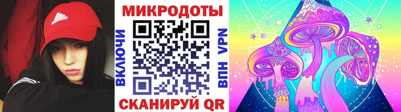 что такое   Брюховецкая  Галлюциногенные грибы Magic Shrooms 
