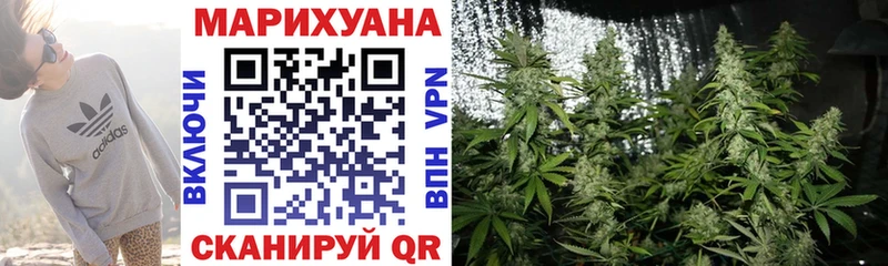 где можно купить наркотик  блэк спрут рабочий сайт  МАРИХУАНА сатива  Брюховецкая 
